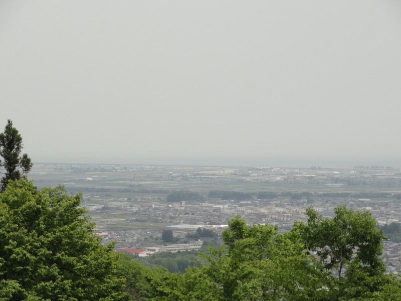 img0019.jpg