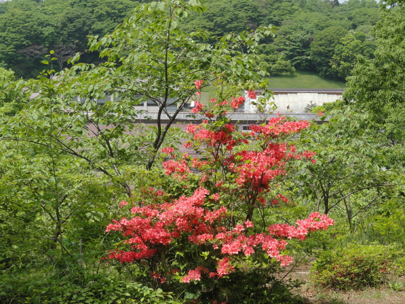 img0021.jpg