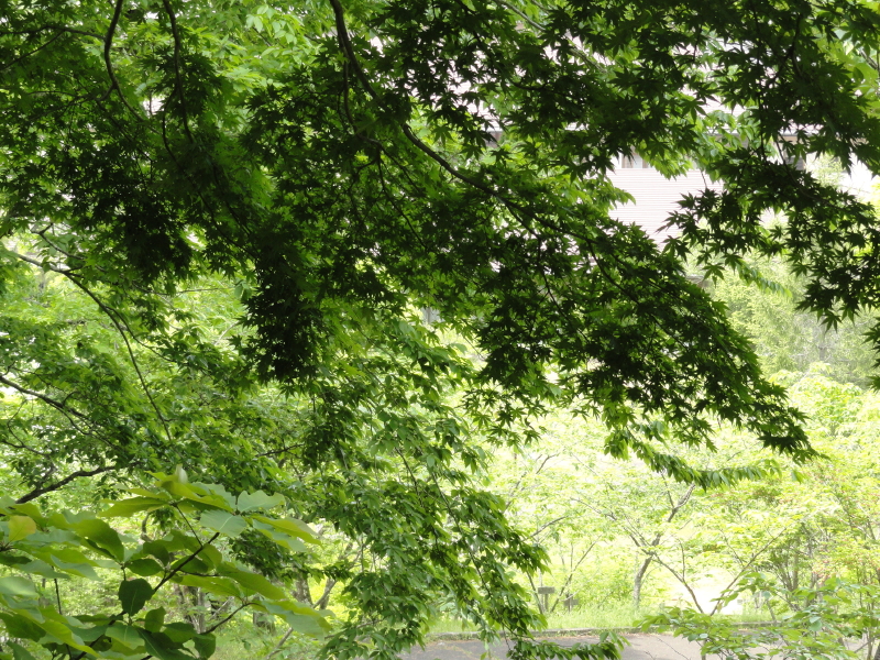 img0025.jpg
