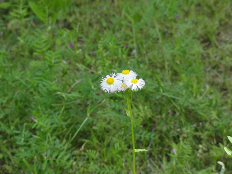 img0026.jpg