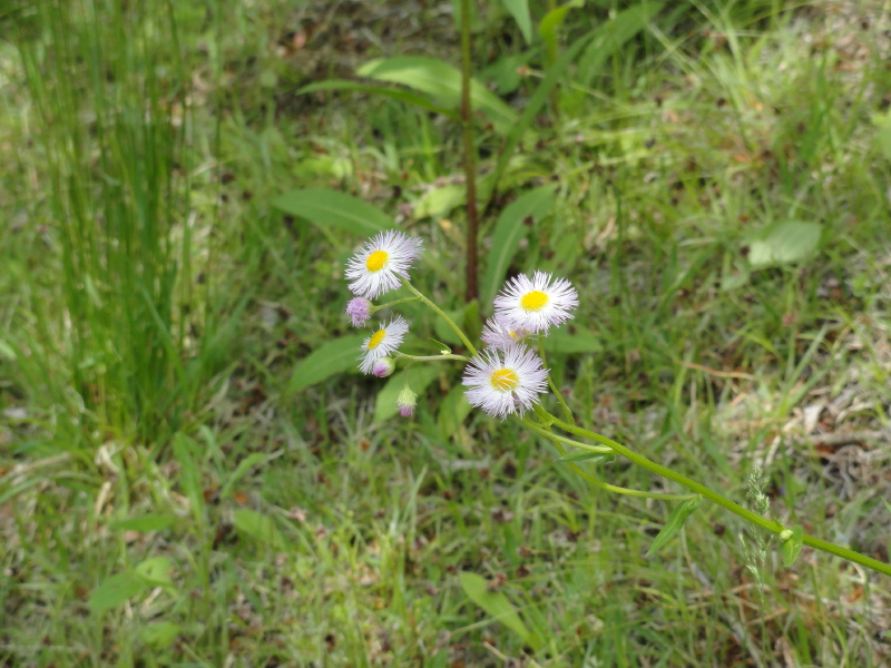 img0027.jpg