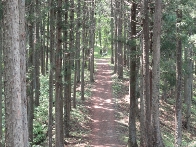img0039.jpg