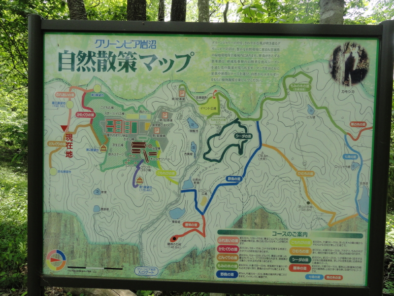 img0041.jpg