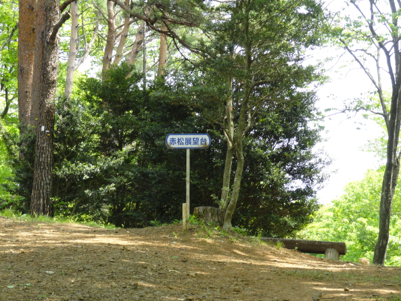 img0042.jpg