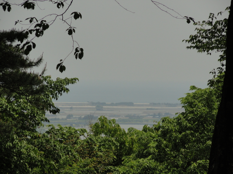 img0044.jpg