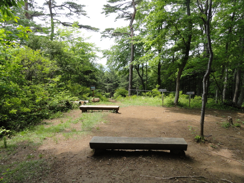 img0047.jpg