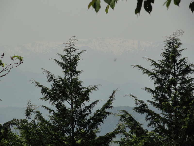 img0049.jpg