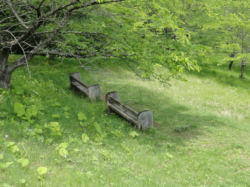 img0054.jpg