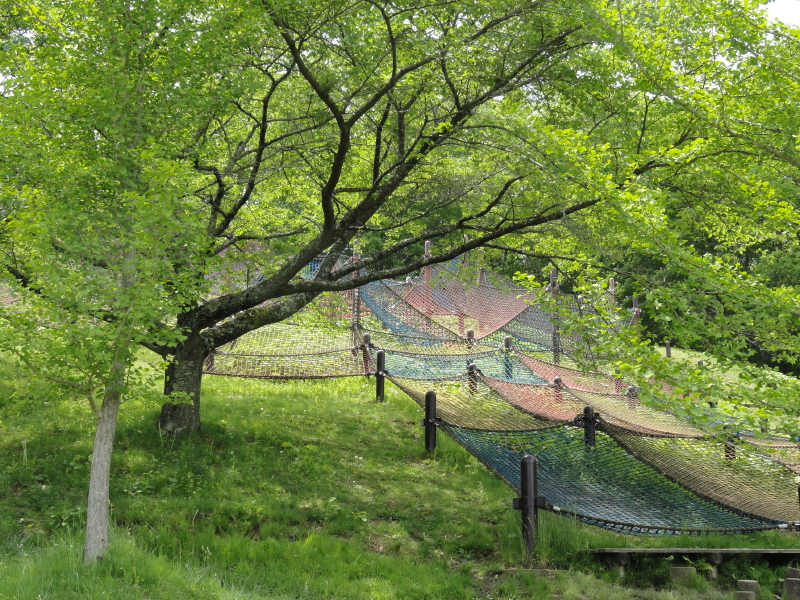 img0055.jpg