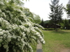 img0009.jpg