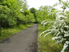 img0010.jpg
