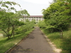 img0011.jpg