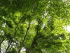 img0013.jpg