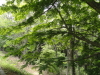 img0014.jpg