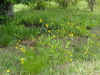 img0023.jpg