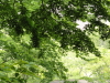 img0025.jpg