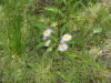 img0027.jpg