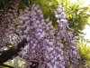 img0030.jpg