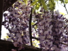img0031.jpg