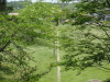 img0035.jpg
