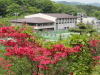 img0037.jpg