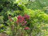 img0038.jpg