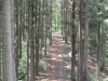 img0039.jpg