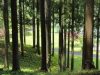 img0040.jpg