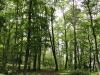 img0046.jpg