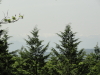 img0048.jpg