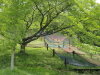img0055.jpg