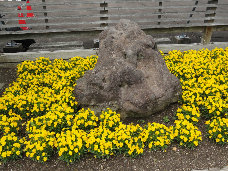 img0005.jpg