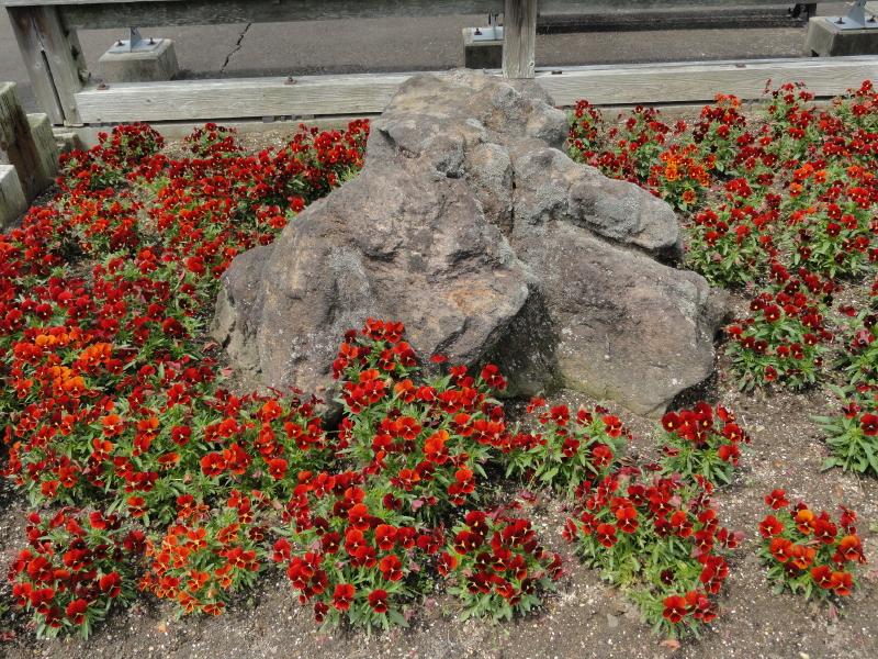 img0006.jpg