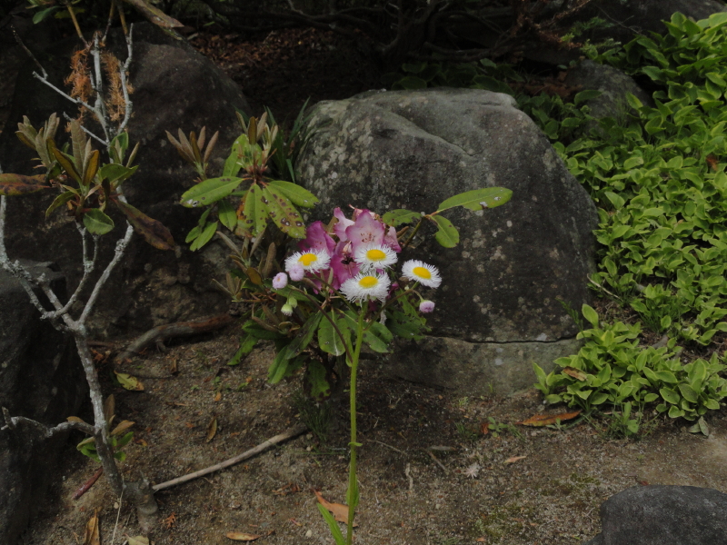 img0013.jpg