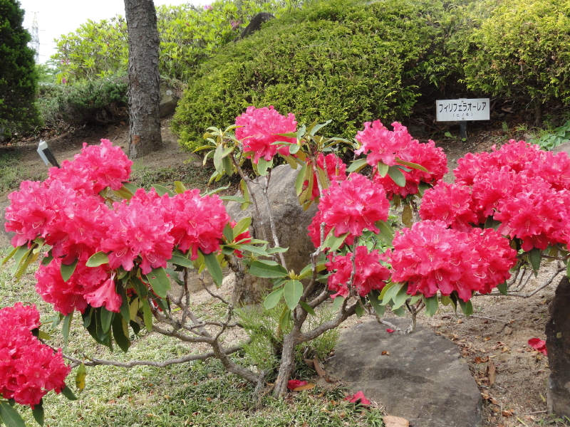 img0014.jpg
