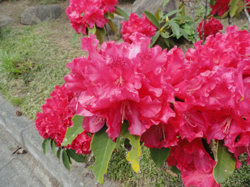 img0015.jpg