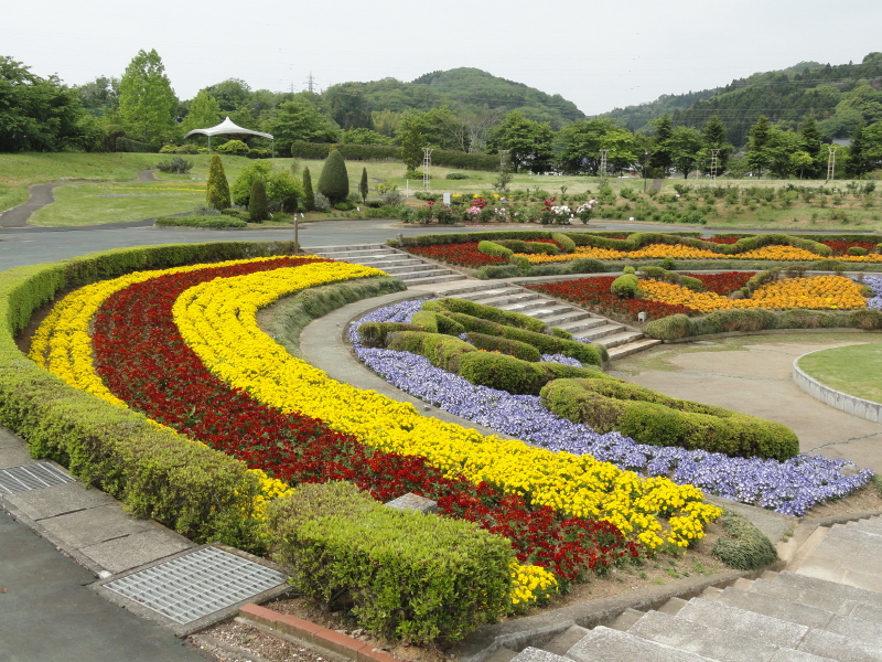 img0018.jpg