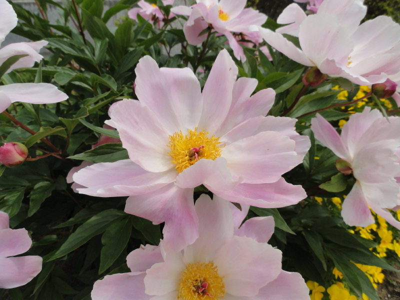 img0028.jpg
