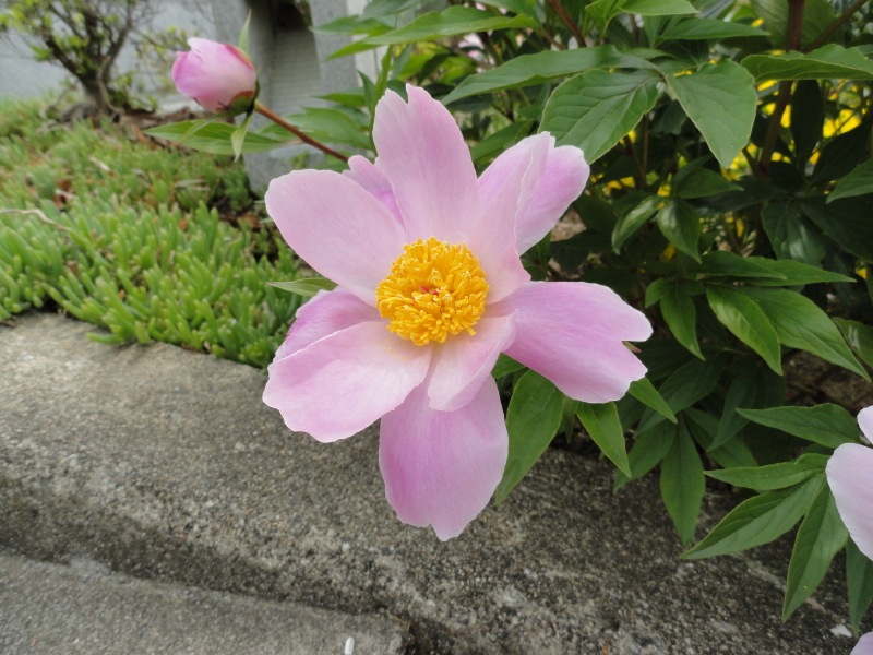 img0029.jpg