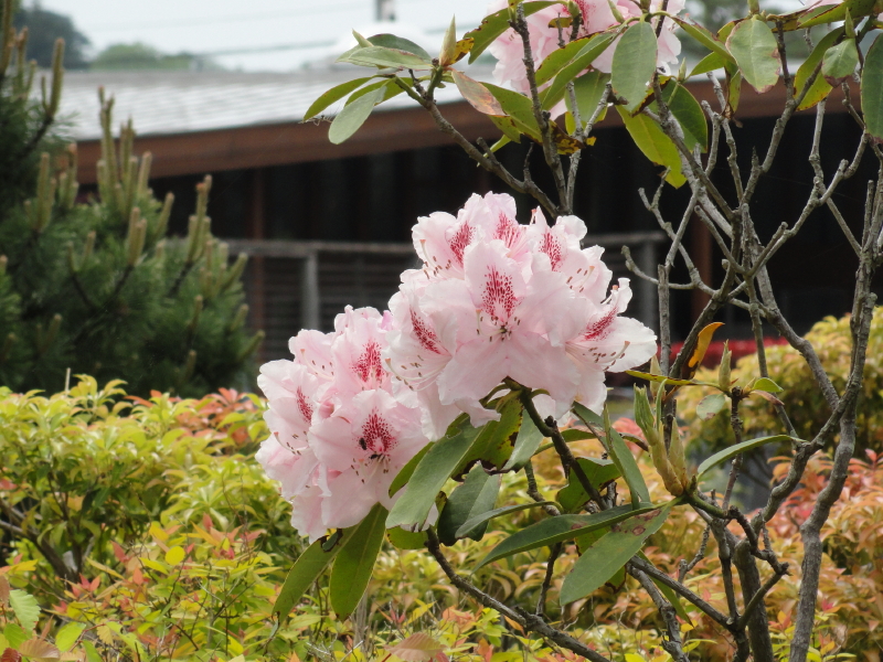 img0034.jpg