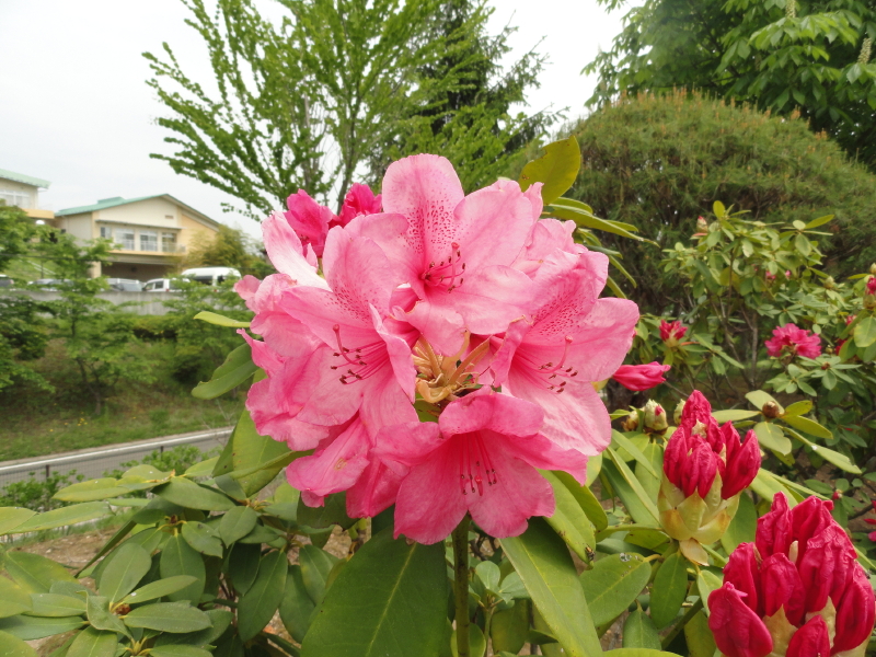 img0037.jpg