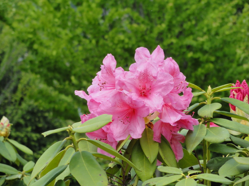 img0041.jpg