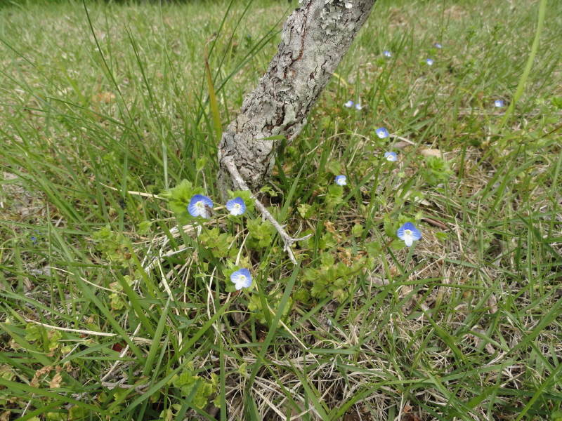 img0042.jpg