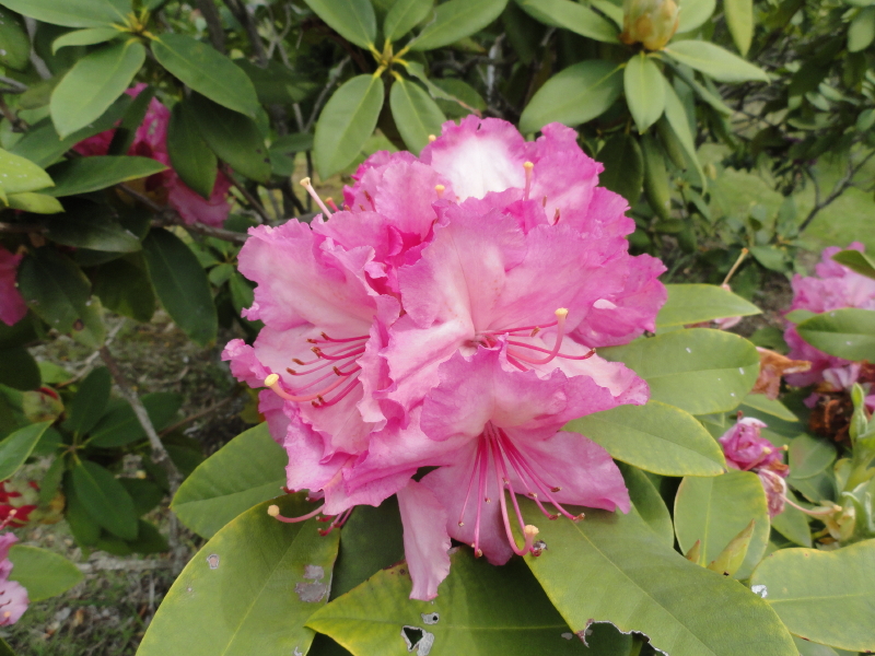 img0043.jpg