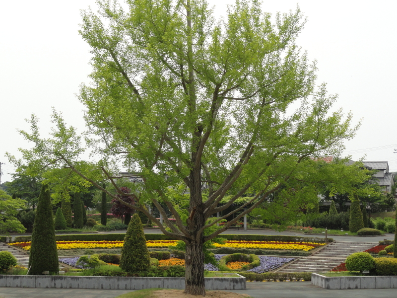 img0049.jpg
