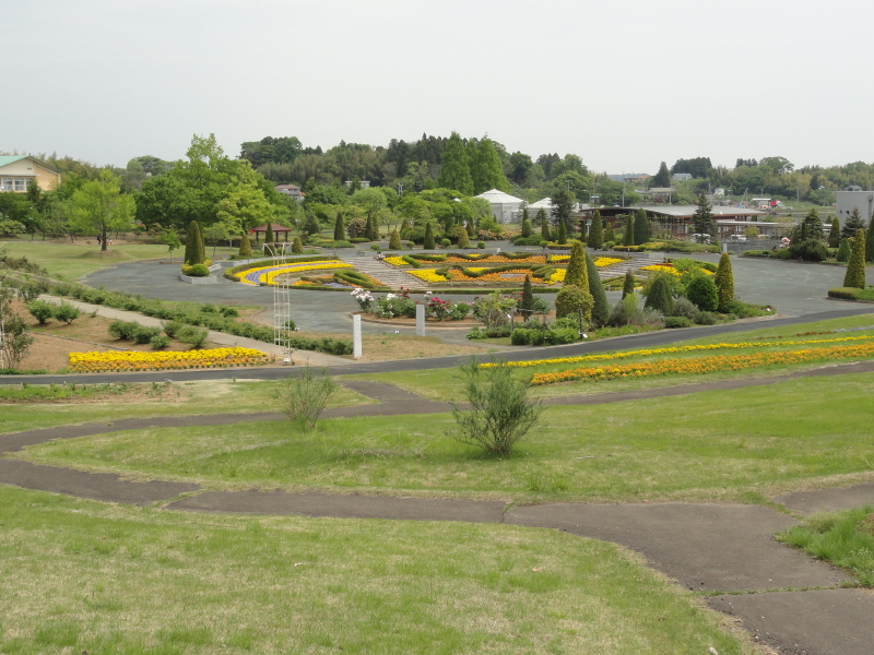 img0054.jpg