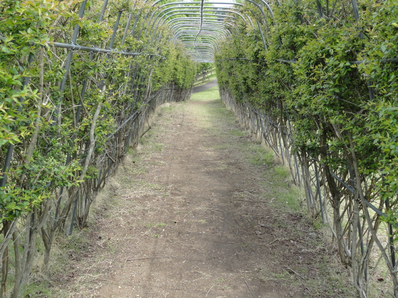 img0055.jpg