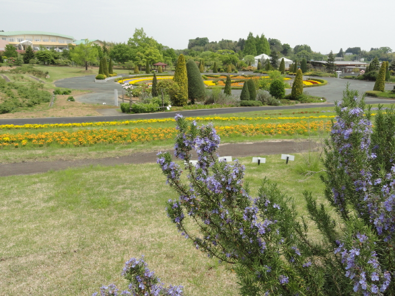 img0056.jpg