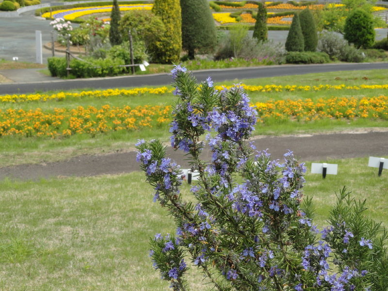 img0057.jpg