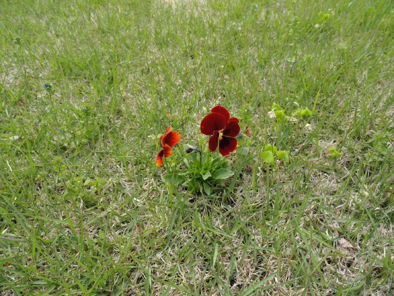 img0058.jpg